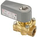 STRP54-2815 120 Volts Hot Water Solenoid Valve, 3/4 in