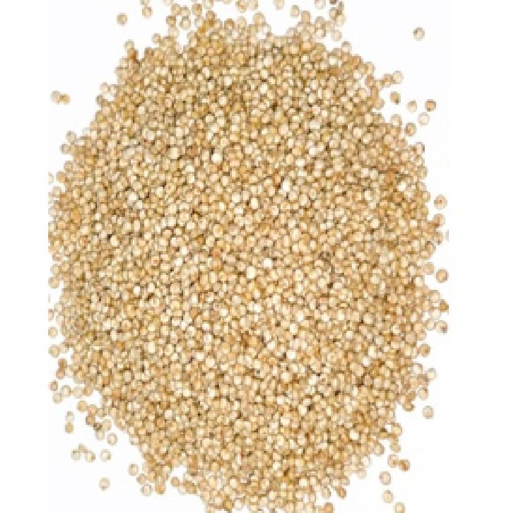 Novaquinoa Roasted Whole Grain White Quinoa, 10 Kg