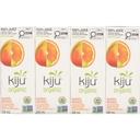 Organic Mango Orange Juice