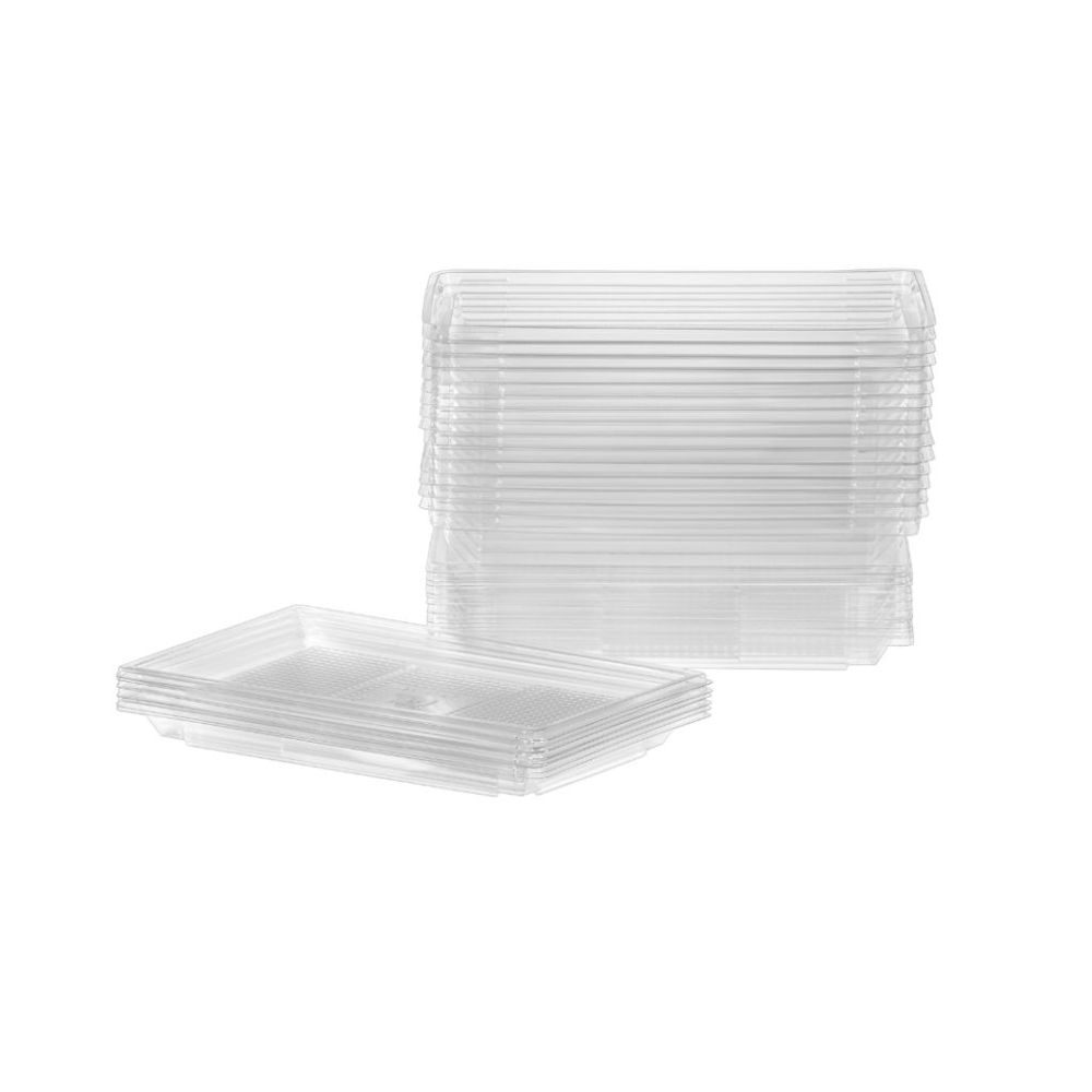 5.5 x 8.8 in Clear Plastic Rectangular Festive Catering Tray